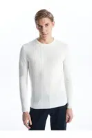 LC Waikiki Crew Neck Long Sleeve Men's Knitwear Sweater