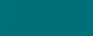 Porcelaine 150 45 ml - 20 Turquoise