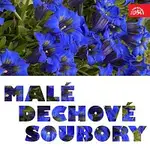 Různí interpreti – Malé dechové soubory
