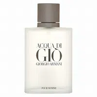 Giorgio Armani Acqua di Gio Pour Homme toaletná voda pre mužov 50 ml