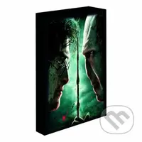 Harry Potter obraz LED svietiaci 30x40 cm - Harry vs Voldemort