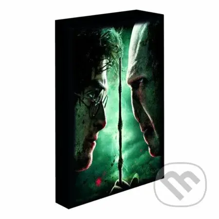 Harry Potter obraz LED svietiaci 30x40 cm - Harry vs Voldemort