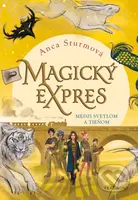 Magický expres: Medzi svetlom a tieňom - Anca Sturm - kniha z kategorie Sci-fi, fantasy a komiksy