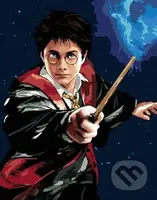 Malování podle čísel: Harry Potter - Harry a hůlka