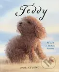 Teddy (Příběh o hledání domova) - Guojing - kniha z kategorie Beletrie pro děti