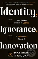 Identity, Ignorance, Innovation (Why the old politics is useless - and what to do about it) - kniha z kategorie Humanitní a společenské vědy