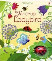 Wind-up ladybird - Fiona Watt, Ben Mantle (Iustrátor) - kniha z kategorie Pro děti