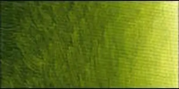 Olejová barva Old Holland 40ml – 298 Old Holland Golden Green Deep