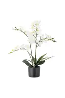 Umělá rostlina v květináči Bloomingville Orchid Plant 84 cm více barev