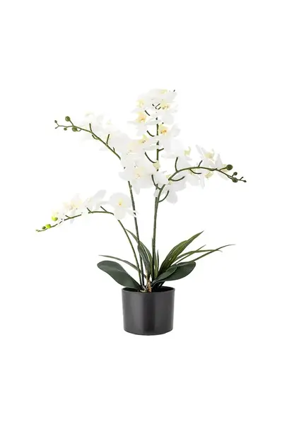 Umělá rostlina v květináči Bloomingville Orchid Plant 84 cm více barev