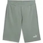 Puma ESSENTIALS+ LOGO LAB GRAPHIC SHORTS 10 Pánske teplákové kraťasy, zelená, veľkosť