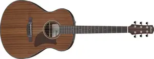 Ibanez AAM54 Natural
