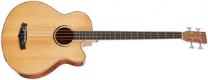 Tanglewood TW7ABCE NA