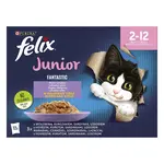 Purina Felix Fantastic Junior Lahodný Výběr v želé - mokré krmivo pro kočky 12 x 85 g