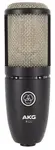 AKG P220