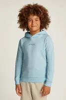 Dětská mikina Calvin Klein Jeans modrá barva, s kapucí, s potiskem, IB0IB02383
