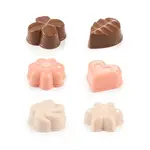 Formičky na čokoládové pralinky DELÍCIA, 6 ks