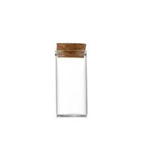 Glass Empty Wishing Bottle