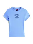 Tommy Jeans Tričko 'TOMMY 85'  modrá / tmavomodrá