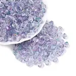 Transparent Glass Seed Beads
