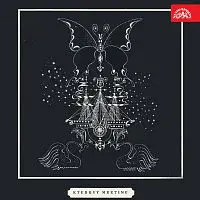 Různí interpreti – Etudový meeting