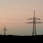 White Fruit Honey – Powerlines