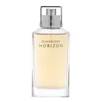 Davidoff Horizon toaletná voda pre mužov 75 ml