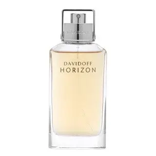 Davidoff Horizon toaletná voda pre mužov 75 ml