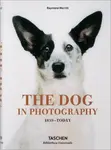 The Dog in Photography 1839â€“Today - Raymond Merritt