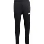 adidas ENTRADA 26 TRAINING PANT Pánské sportovní kalhoty, černá, velikost