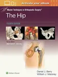 Master Techniques in Orthopaedic Surgery: The Hip: Print + eBook with Multimedia - DANIEL JOHN BERRY, WILLIAM JOSEPH MALONEY