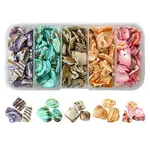 125G 5 Colors Natural Shell Bead Strands