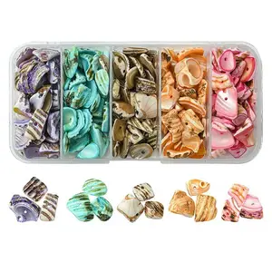 125G 5 Colors Natural Shell Beads Strands