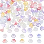 100Pcs 10 Colors Transparent Two Tone Spray Painted Glass Beads