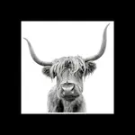 Euroart OBRAZ NA SKLE, zvířata, 30/30/1,40 cm