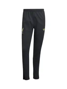 ADIDAS PERFORMANCE Športové nohavice  čierna