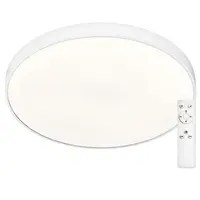 STROPNÍ LED SVÍTIDLO, 60/60/5 cm