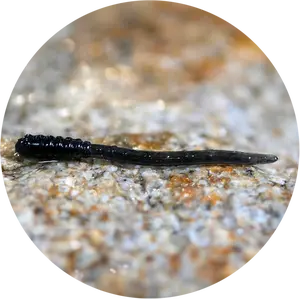 Redbass gumová nástraha micro tail dark black - s 48 mm