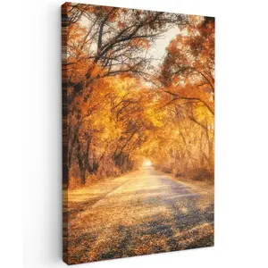 MuchoWow OBRAZ NA PLÁTNĚ Les - Podzim - Stromy - Lesní cesta - Příroda 40x60 cm