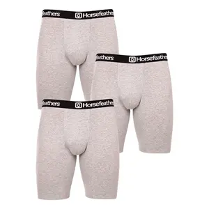Horsefeathers 3PACK pánské boxerky Dynasty long (AM195C) XXL