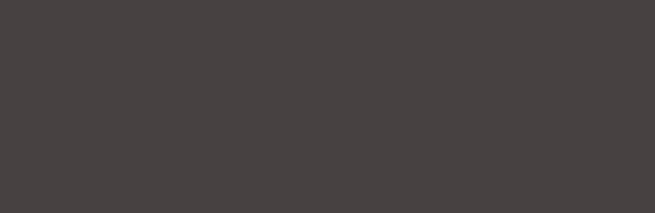 Akryl Amsterdam St. 500 ml - 408 Raw Umber
