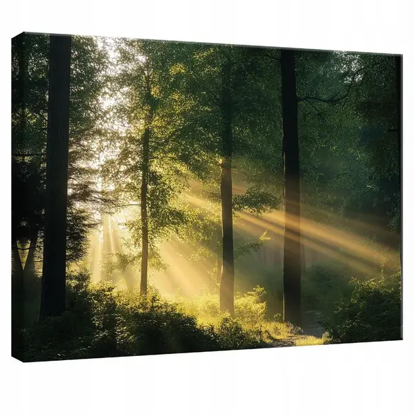 Wallarena OBRAZ na plátně Les Příroda Moderní obývací pokoj 60x40