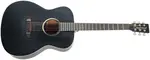 Tanglewood TB3