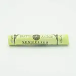 Artist soft pastel 207 Apple Green