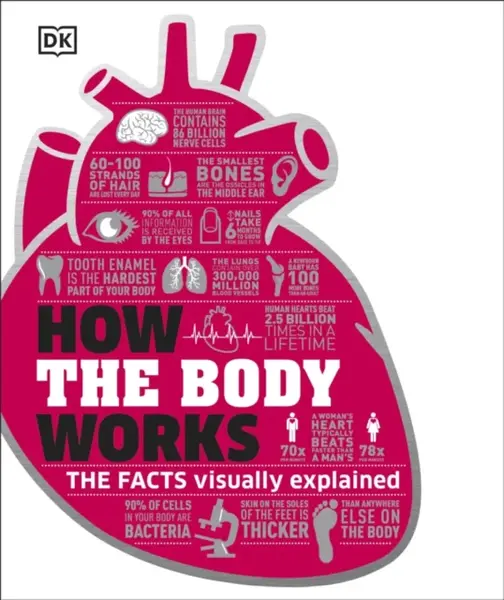 How the Body Works - DK