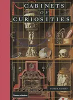 Cabinets of Curiosities - Patrick Mauriès