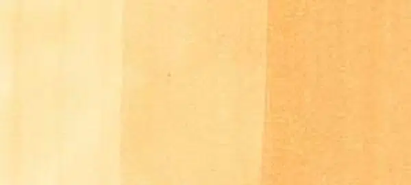 Copic sketch marker - E11 bareley beige