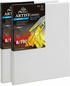 Napnuté malířské plátno 30x30cm Phoenix Artists