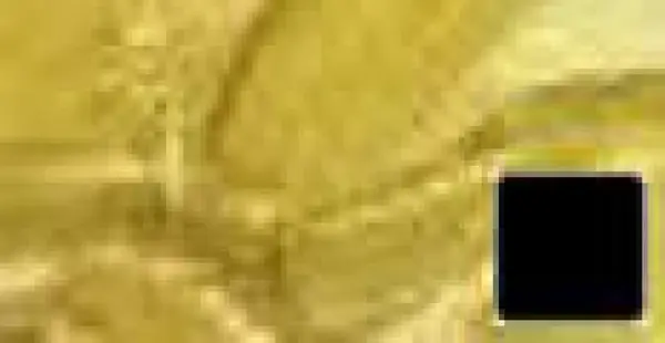 Akrylová barva Pébéo Origin 480ml – 41 Gold