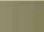 Pastel Caran d'Ache Neocolor II 039 Olive brown